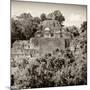 ¡Viva Mexico! Square Collection - Mayan Pyramid of Calakmul II-Philippe Hugonnard-Mounted Photographic Print