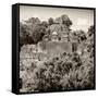 ¡Viva Mexico! Square Collection - Mayan Pyramid of Calakmul II-Philippe Hugonnard-Framed Stretched Canvas