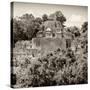 ¡Viva Mexico! Square Collection - Mayan Pyramid of Calakmul II-Philippe Hugonnard-Stretched Canvas