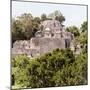 ¡Viva Mexico! Square Collection - Mayan Pyramid of Calakmul III-Philippe Hugonnard-Mounted Photographic Print