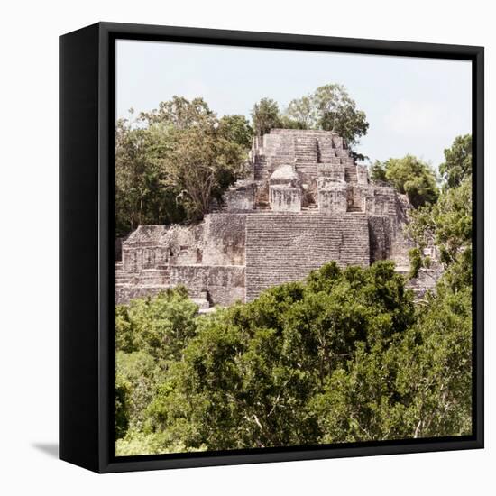 ¡Viva Mexico! Square Collection - Mayan Pyramid of Calakmul III-Philippe Hugonnard-Framed Stretched Canvas