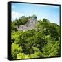 ¡Viva Mexico! Square Collection - Mayan Pyramid of Calakmul V-Philippe Hugonnard-Framed Stretched Canvas