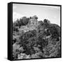 ¡Viva Mexico! Square Collection - Mayan Pyramid of Calakmul VI-Philippe Hugonnard-Framed Stretched Canvas