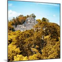 ¡Viva Mexico! Square Collection - Mayan Pyramid of Calakmul with Fall Colors II-Philippe Hugonnard-Mounted Photographic Print