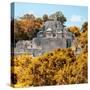 ¡Viva Mexico! Square Collection - Mayan Pyramid of Calakmul with Fall Colors-Philippe Hugonnard-Stretched Canvas