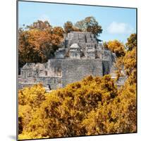 ¡Viva Mexico! Square Collection - Mayan Pyramid of Calakmul with Fall Colors-Philippe Hugonnard-Mounted Photographic Print