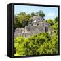 ¡Viva Mexico! Square Collection - Mayan Pyramid of Calakmul-Philippe Hugonnard-Framed Stretched Canvas