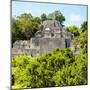 ¡Viva Mexico! Square Collection - Mayan Pyramid of Calakmul-Philippe Hugonnard-Mounted Premium Photographic Print