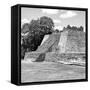 ¡Viva Mexico! Square Collection - Mayan Ruins - Edzna IV-Philippe Hugonnard-Framed Stretched Canvas