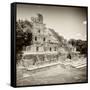 ¡Viva Mexico! Square Collection - Mayan Ruins - Edzna IX-Philippe Hugonnard-Framed Stretched Canvas