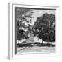 ¡Viva Mexico! Square Collection - Mayan Ruins - Edzna-Philippe Hugonnard-Framed Photographic Print
