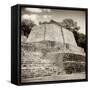 ¡Viva Mexico! Square Collection - Mayan Ruins in Edzna VII-Philippe Hugonnard-Framed Stretched Canvas