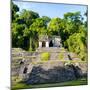 ¡Viva Mexico! Square Collection - Mayan Ruins in Palenque II-Philippe Hugonnard-Mounted Photographic Print