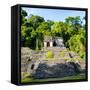 ¡Viva Mexico! Square Collection - Mayan Ruins in Palenque II-Philippe Hugonnard-Framed Stretched Canvas