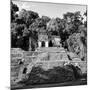 ¡Viva Mexico! Square Collection - Mayan Ruins in Palenque III-Philippe Hugonnard-Mounted Photographic Print