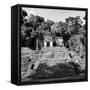 ¡Viva Mexico! Square Collection - Mayan Ruins in Palenque III-Philippe Hugonnard-Framed Stretched Canvas