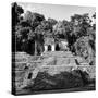 ¡Viva Mexico! Square Collection - Mayan Ruins in Palenque III-Philippe Hugonnard-Stretched Canvas