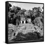¡Viva Mexico! Square Collection - Mayan Ruins in Palenque III-Philippe Hugonnard-Framed Stretched Canvas