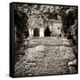 ¡Viva Mexico! Square Collection - Mayan Ruins in Palenque V-Philippe Hugonnard-Framed Stretched Canvas