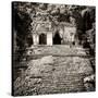 ¡Viva Mexico! Square Collection - Mayan Ruins in Palenque V-Philippe Hugonnard-Stretched Canvas