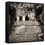 ¡Viva Mexico! Square Collection - Mayan Ruins in Palenque V-Philippe Hugonnard-Framed Stretched Canvas