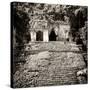 ¡Viva Mexico! Square Collection - Mayan Ruins in Palenque V-Philippe Hugonnard-Stretched Canvas