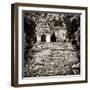 ¡Viva Mexico! Square Collection - Mayan Ruins in Palenque V-Philippe Hugonnard-Framed Photographic Print