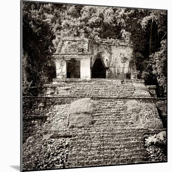 ¡Viva Mexico! Square Collection - Mayan Ruins in Palenque V-Philippe Hugonnard-Mounted Photographic Print