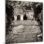 ¡Viva Mexico! Square Collection - Mayan Ruins in Palenque V-Philippe Hugonnard-Mounted Photographic Print