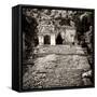 ¡Viva Mexico! Square Collection - Mayan Ruins in Palenque V-Philippe Hugonnard-Framed Stretched Canvas