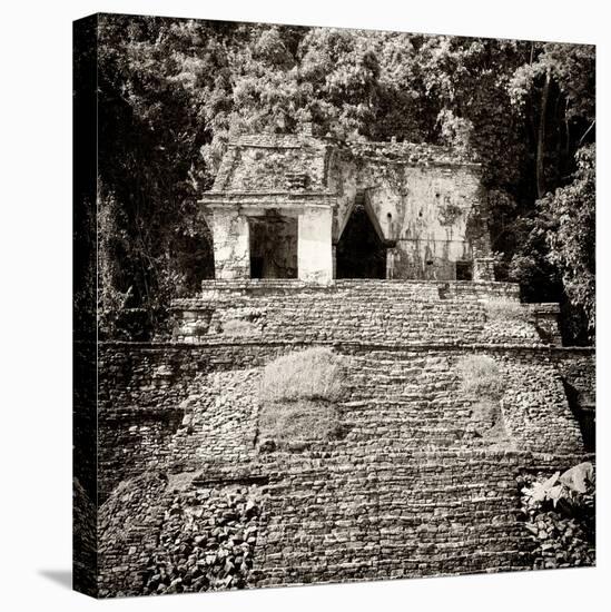 ¡Viva Mexico! Square Collection - Mayan Ruins in Palenque V-Philippe Hugonnard-Stretched Canvas