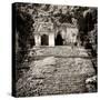 ¡Viva Mexico! Square Collection - Mayan Ruins in Palenque V-Philippe Hugonnard-Stretched Canvas