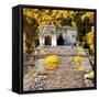 ¡Viva Mexico! Square Collection - Mayan Ruins in Palenque VI-Philippe Hugonnard-Framed Stretched Canvas