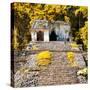 ¡Viva Mexico! Square Collection - Mayan Ruins in Palenque VI-Philippe Hugonnard-Stretched Canvas