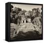 ¡Viva Mexico! Square Collection - Mayan Ruins in Palenque-Philippe Hugonnard-Framed Stretched Canvas