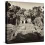 ¡Viva Mexico! Square Collection - Mayan Ruins in Palenque-Philippe Hugonnard-Stretched Canvas