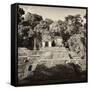 ¡Viva Mexico! Square Collection - Mayan Ruins in Palenque-Philippe Hugonnard-Framed Stretched Canvas