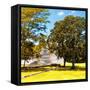 ¡Viva Mexico! Square Collection - Mayan Ruins with Fall Colors - Edzna-Philippe Hugonnard-Framed Stretched Canvas