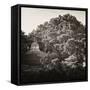 ¡Viva Mexico! Square Collection - Mayan Temple at Sunrise I-Philippe Hugonnard-Framed Stretched Canvas