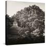 ¡Viva Mexico! Square Collection - Mayan Temple at Sunrise I-Philippe Hugonnard-Stretched Canvas