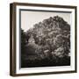 ¡Viva Mexico! Square Collection - Mayan Temple at Sunrise I-Philippe Hugonnard-Framed Premium Photographic Print