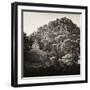 ¡Viva Mexico! Square Collection - Mayan Temple at Sunrise I-Philippe Hugonnard-Framed Premium Photographic Print