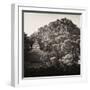 ¡Viva Mexico! Square Collection - Mayan Temple at Sunrise I-Philippe Hugonnard-Framed Premium Photographic Print