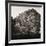 ¡Viva Mexico! Square Collection - Mayan Temple at Sunrise I-Philippe Hugonnard-Framed Photographic Print