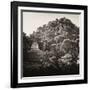 ¡Viva Mexico! Square Collection - Mayan Temple at Sunrise I-Philippe Hugonnard-Framed Premium Photographic Print