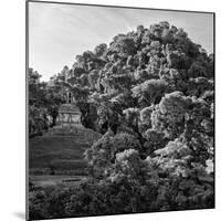 ¡Viva Mexico! Square Collection - Mayan Temple at Sunrise II-Philippe Hugonnard-Mounted Photographic Print