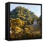 ¡Viva Mexico! Square Collection - Mayan Temple at Sunrise with Fall Colors-Philippe Hugonnard-Framed Stretched Canvas