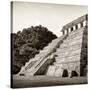 ¡Viva Mexico! Square Collection - Mayan Temple of Inscriptions in Palenque I-Philippe Hugonnard-Stretched Canvas