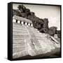 ¡Viva Mexico! Square Collection - Mayan Temple of Inscriptions in Palenque IX-Philippe Hugonnard-Framed Stretched Canvas