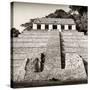 ¡Viva Mexico! Square Collection - Mayan Temple of Inscriptions in Palenque V-Philippe Hugonnard-Stretched Canvas